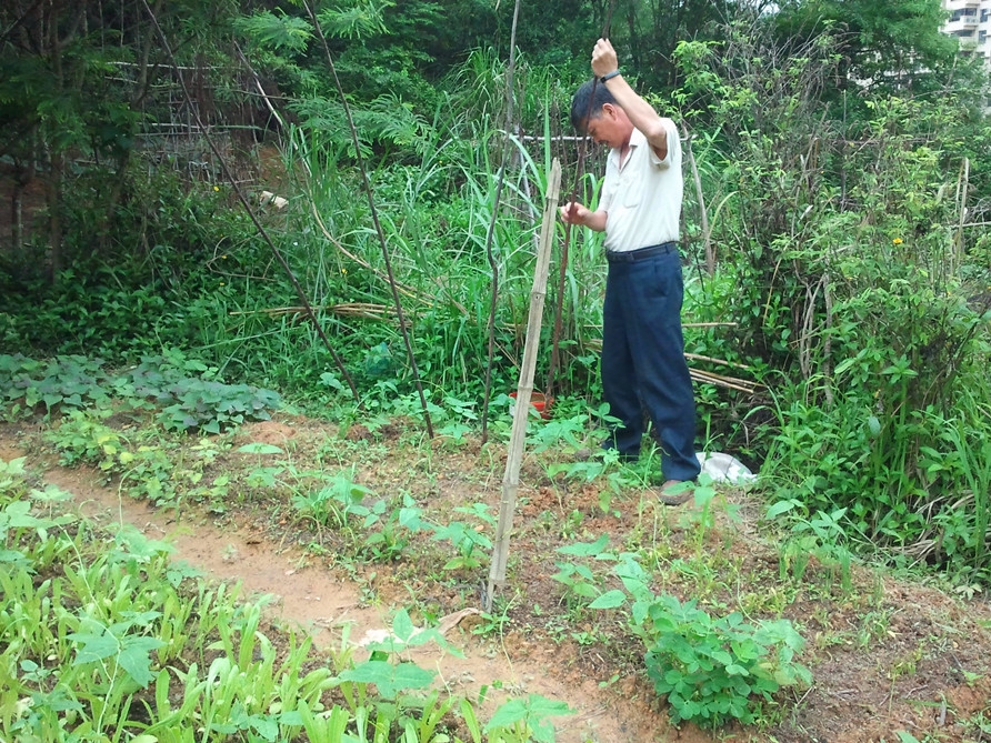 2013-05-01 14.55.41_副本.jpg