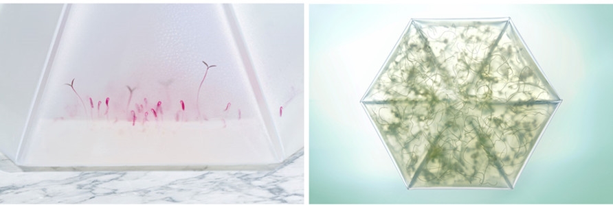 Microgarden-by-Tomorrow-Machine-Yellowtrace-02_并.jpg