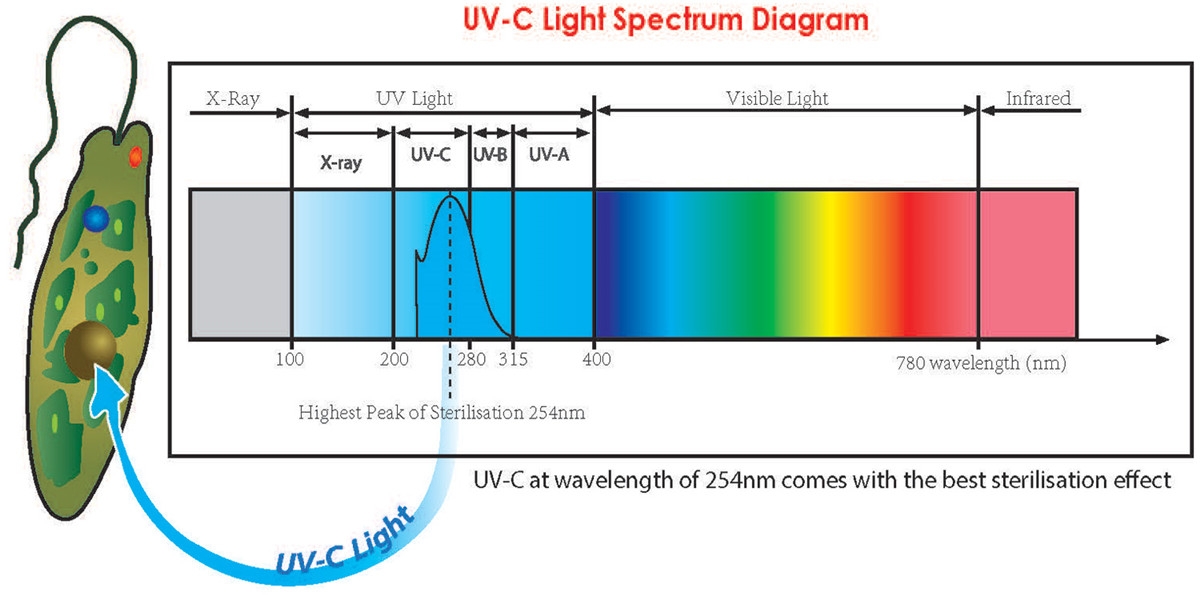 photocatalytic_pic2_1200.jpg