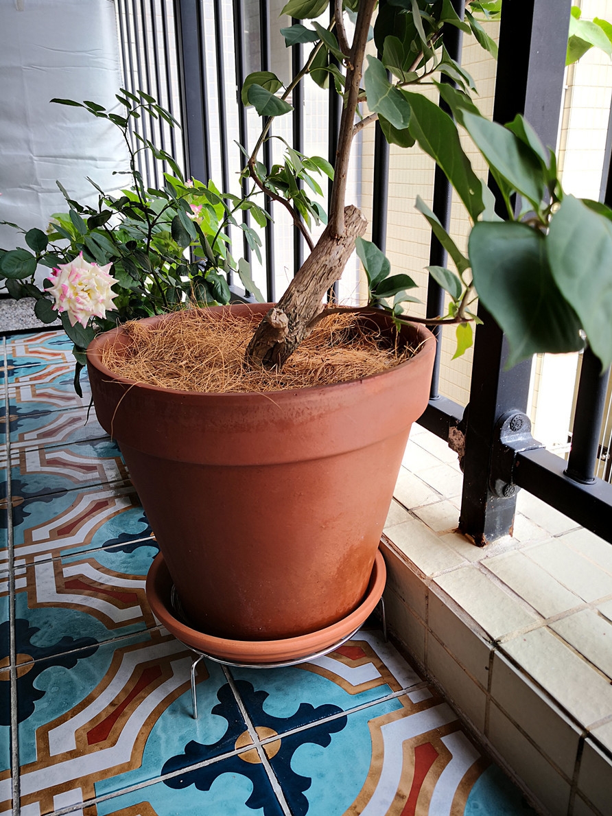 20180605225757_892.jpg