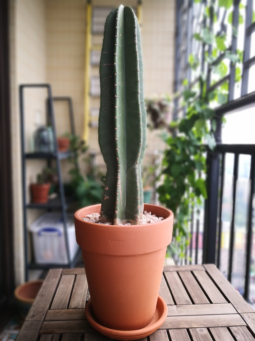 20180605225817_892.jpg