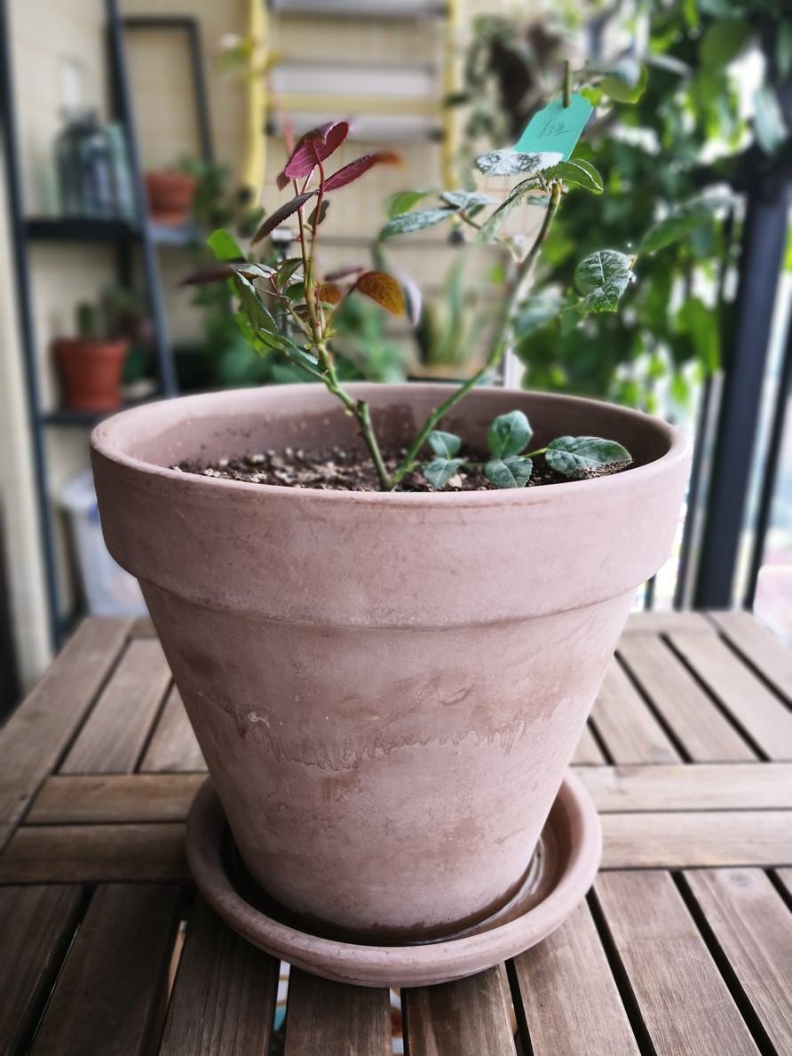 20180605225906_892.jpg