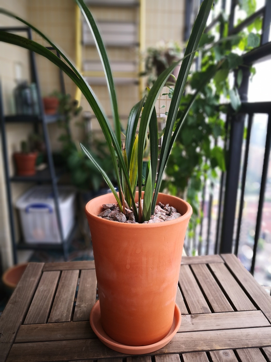 20180605225850_892.jpg
